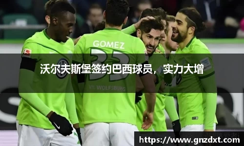 沃尔夫斯堡签约巴西球员，实力大增