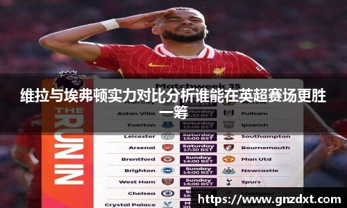 维拉与埃弗顿实力对比分析谁能在英超赛场更胜一筹